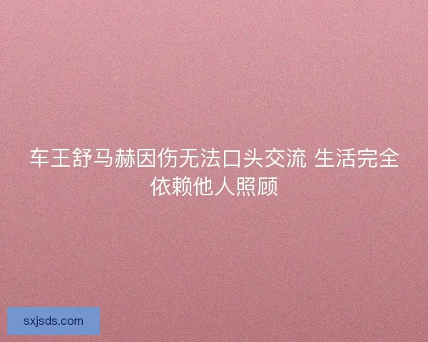 车王舒马赫因伤无法口头交流 生活完全依赖他人照顾 车王舒马赫因伤无法口头交流 生活完全依赖他人照顾