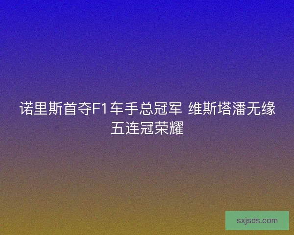 诺里斯首夺F1车手总冠军 维斯塔潘无缘五连冠荣耀 诺里斯首夺F1车手总冠军 维斯塔潘无缘五连冠荣耀